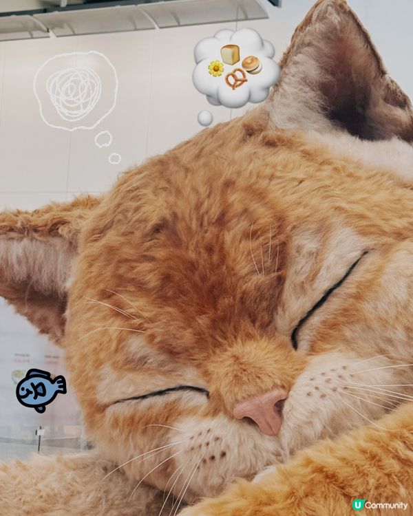 【喵!機場復活節限定巨貓來襲🐱✈️】  