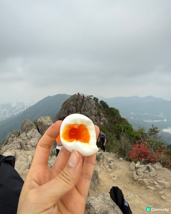 獅子山山頂見！溏心蛋獎勵 🤩🏆