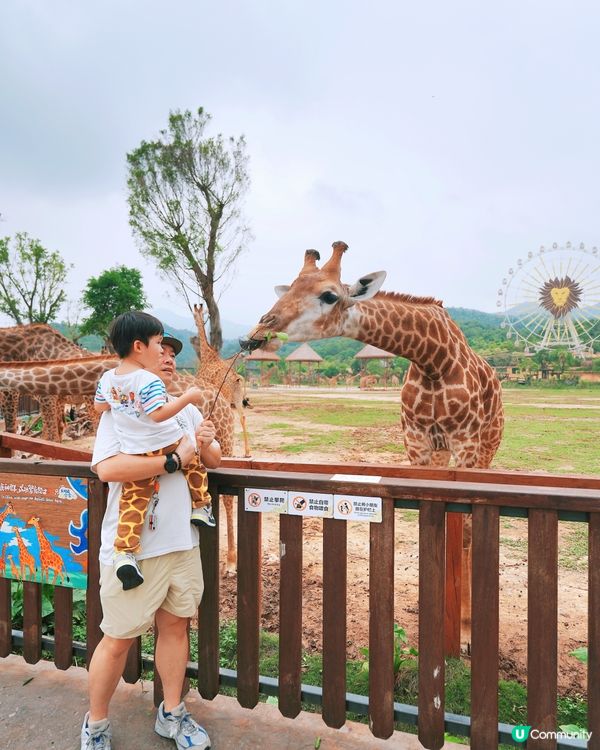 清遠長隆動物園🥳成團人一齊去🤣！