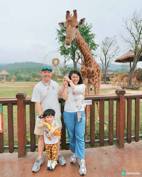 清遠長隆動物園🥳成團人一齊去🤣！