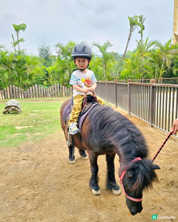 清遠長隆動物園🥳成團人一齊去🤣！