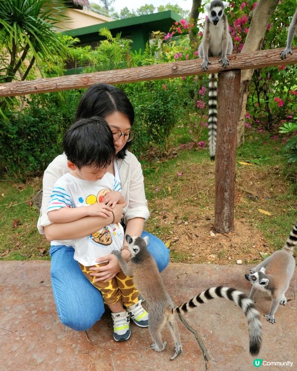 清遠長隆動物園🥳成團人一齊去🤣！