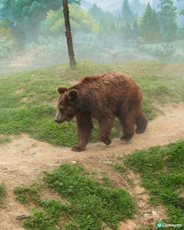 清遠長隆動物園🥳成團人一齊去🤣！