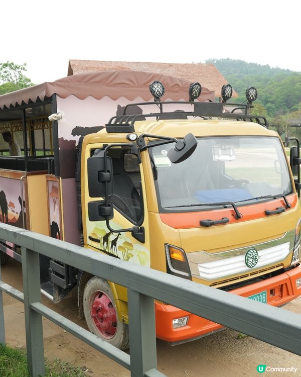 清遠長隆動物園🥳成團人一齊去🤣！
