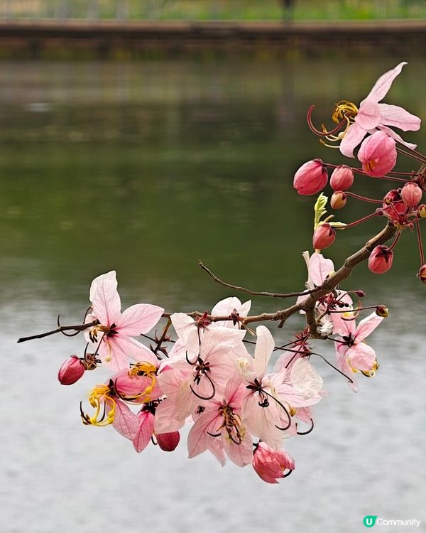 一天北上閒遊