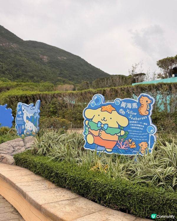 海洋公園 x Sanrio 蔚藍海洋之旅 🐼✨