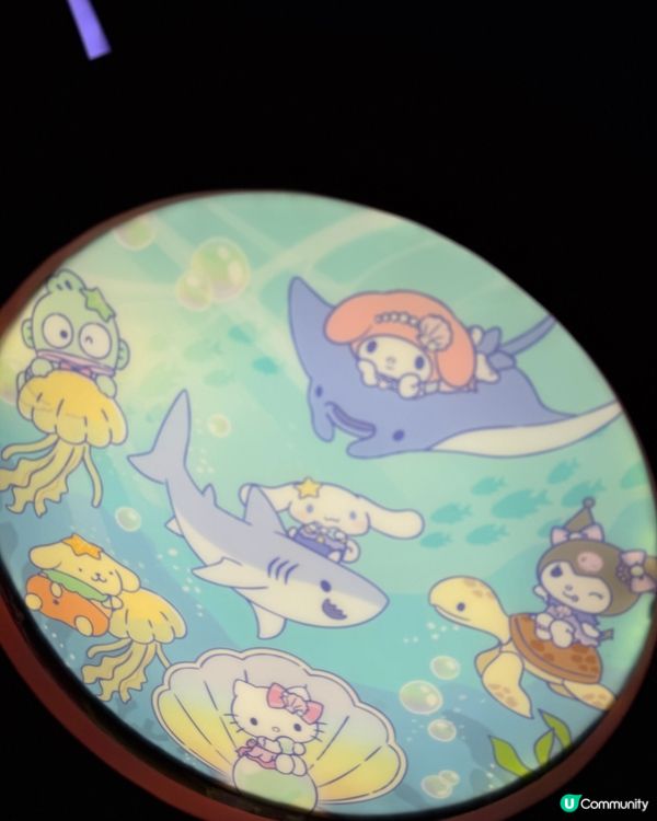 海洋公園 x Sanrio 蔚藍海洋之旅 🐼✨