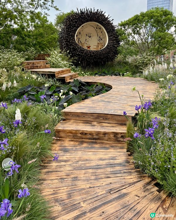 深圳筆架山花海 🌸 夢幻國度📸