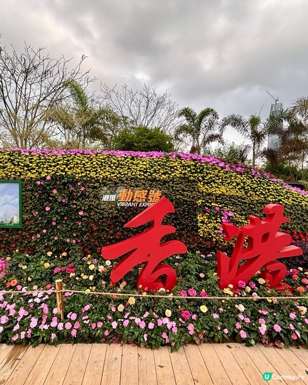 深圳筆架山花海 🌸 夢幻國度📸