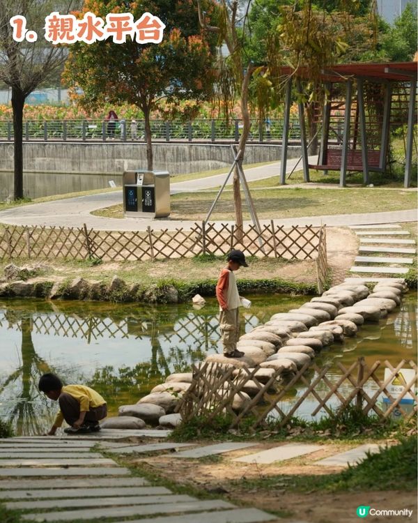 深圳龍華區美人蕉盛放！4月正值最佳賞花期🌸附公園詳情及路線教學