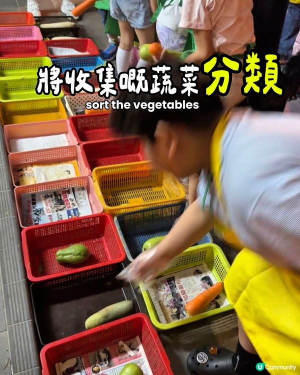 街市剩食回收體驗團🥦