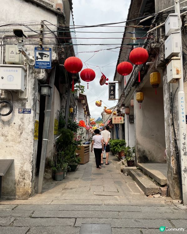 深圳週末任我遊 🥳🌿