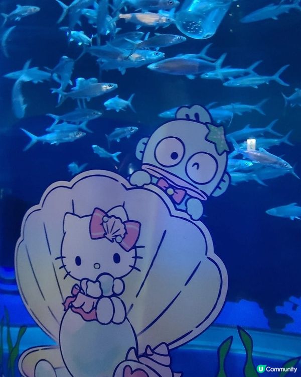 海洋公園✨限時聯乘😍主題夢幻💫🌊