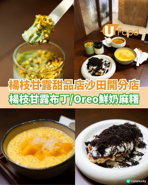 楊枝甘露專門店沙田開分店 楊枝甘露布丁/Oreo鮮奶麻糬                                                    