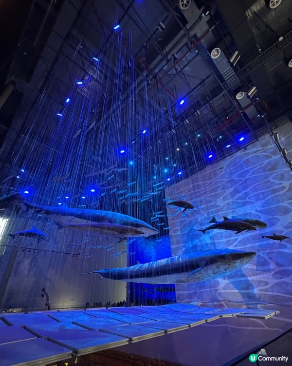 廣州國家一級博物館 一廣東省博物館