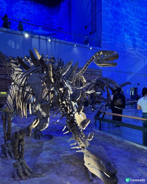 廣州國家一級博物館 一廣東省博物館