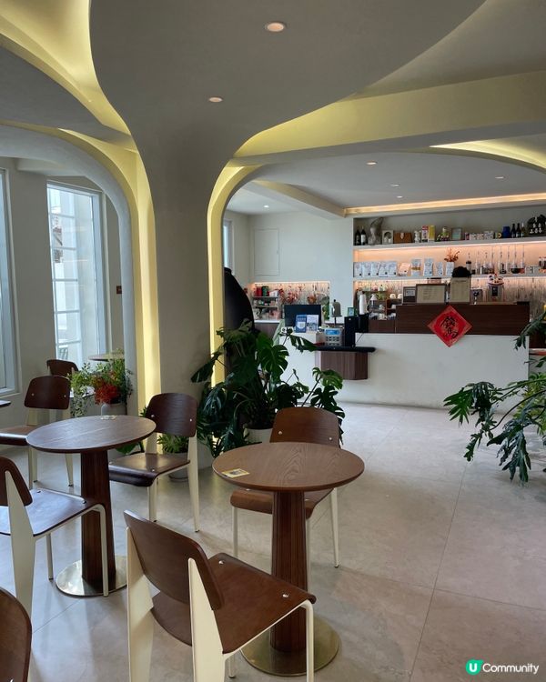 夜島綠洲🌴 Selfie天堂！📸✨