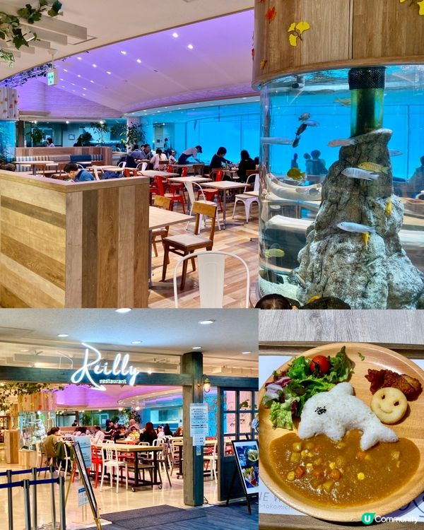 『日本』福岡海之中道水族館🐟🐧🦭🐬｜親子旅遊必去
