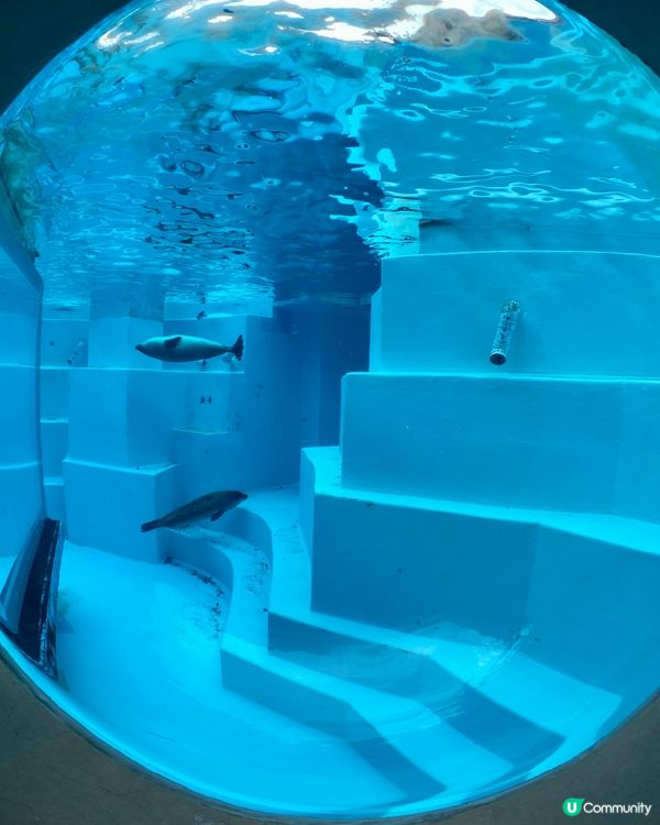 『日本』福岡海之中道水族館🐟🐧🦭🐬｜親子旅遊必去