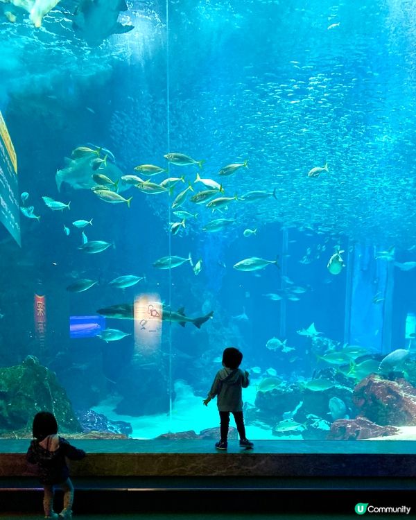 『日本』福岡海之中道水族館🐟🐧🦭🐬｜親子旅遊必去