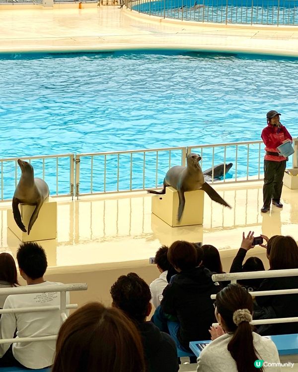 『日本』福岡海之中道水族館🐟🐧🦭🐬｜親子旅遊必去
