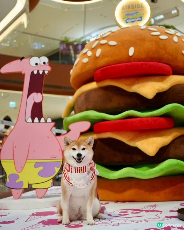 🍔海綿寶寶：比奇堡滋味派對🍕