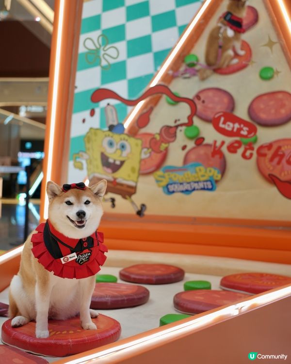 🍔海綿寶寶：比奇堡滋味派對🍕