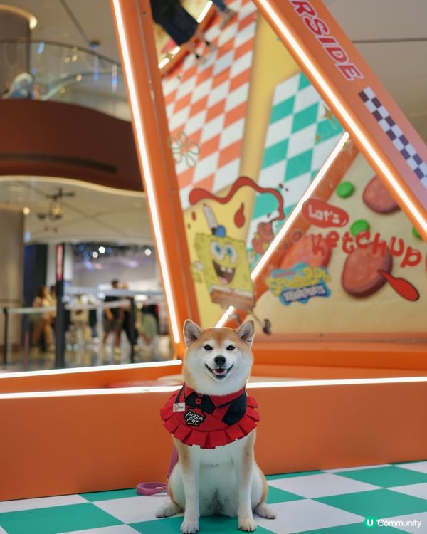 🍔海綿寶寶：比奇堡滋味派對🍕