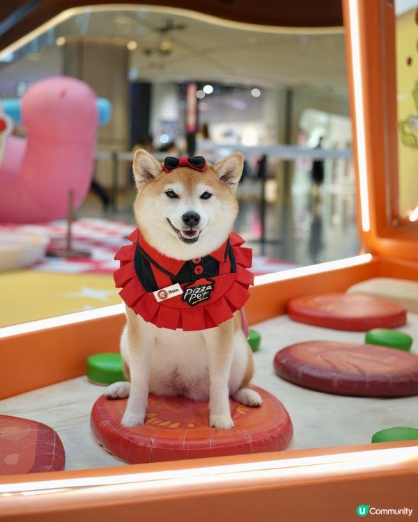 🍔海綿寶寶：比奇堡滋味派對🍕