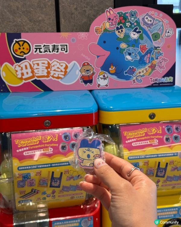 春祭限定  gourmet 盛宴！🍣🤩