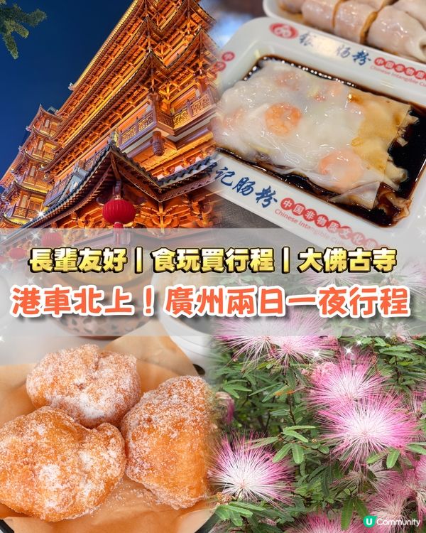 兩日一夜廣州全攻略！長輩慢遊啱哂！地道美食+地標步行街