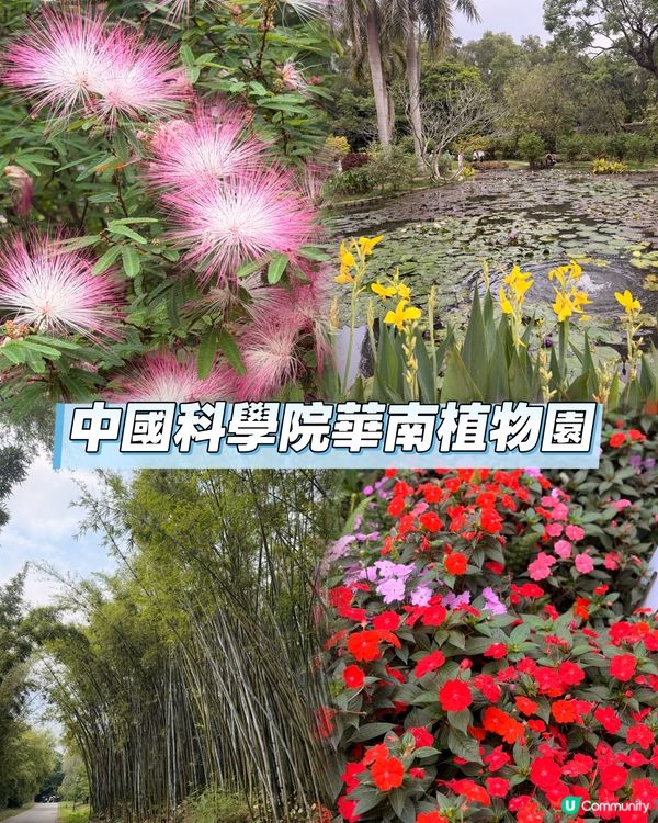 兩日一夜廣州全攻略！長輩慢遊啱哂！地道美食+地標步行街