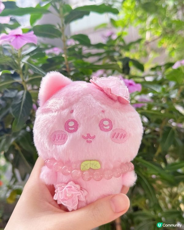 大家鍾意戴水晶嗎？🥰💖