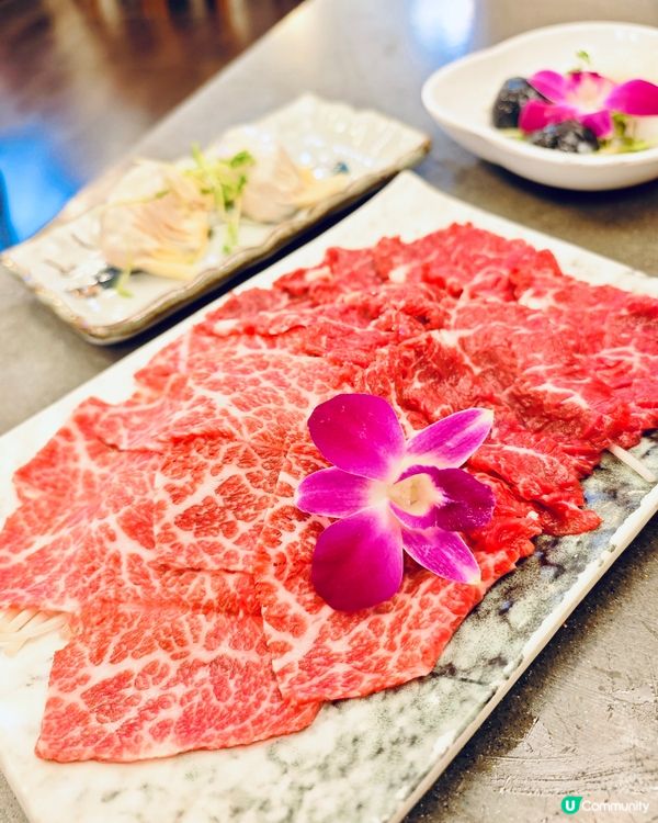九龍城覓食🤤親子寵物打邊爐🙌