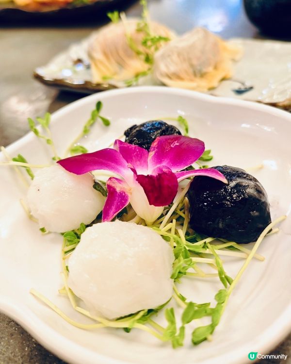 九龍城覓食🤤親子寵物打邊爐🙌