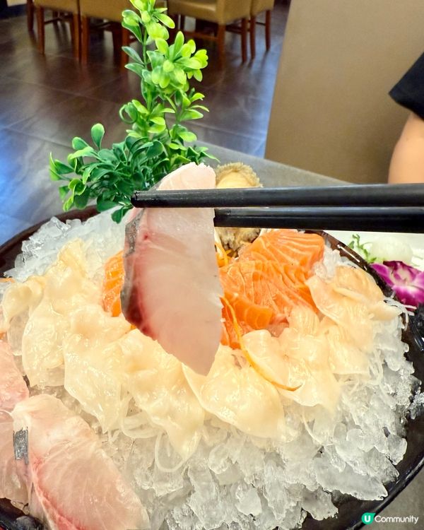 九龍城覓食🤤親子寵物打邊爐🙌