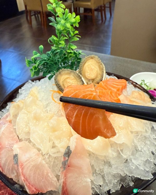 九龍城覓食🤤親子寵物打邊爐🙌