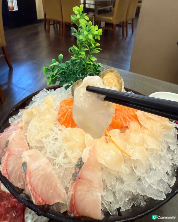 九龍城覓食🤤親子寵物打邊爐🙌
