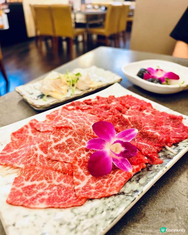 九龍城覓食🤤親子寵物打邊爐🙌