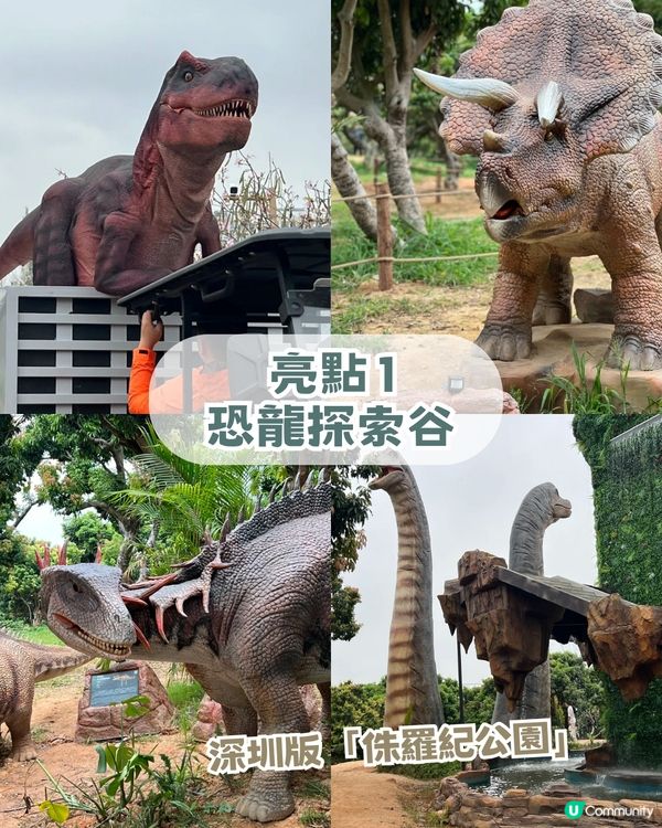 人均 ¥30入場！深圳一站式親子戶外天堂！深圳版侏羅紀公園/小動物互動區！