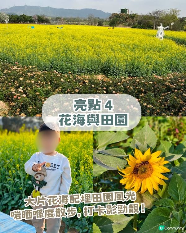 人均 ¥30入場！深圳一站式親子戶外天堂！深圳版侏羅紀公園/小動物互動區！