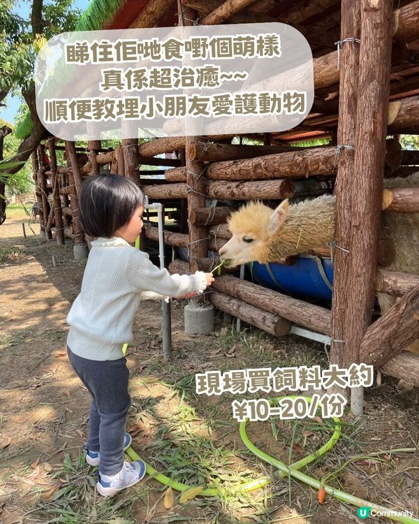 人均 ¥30入場！深圳一站式親子戶外天堂！深圳版侏羅紀公園/小動物互動區！
