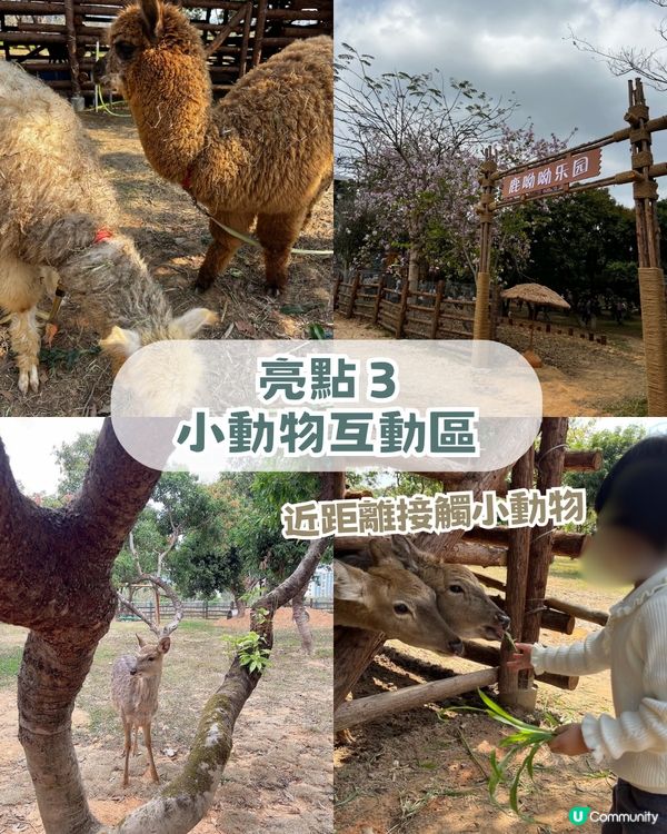 人均 ¥30入場！深圳一站式親子戶外天堂！深圳版侏羅紀公園/小動物互動區！