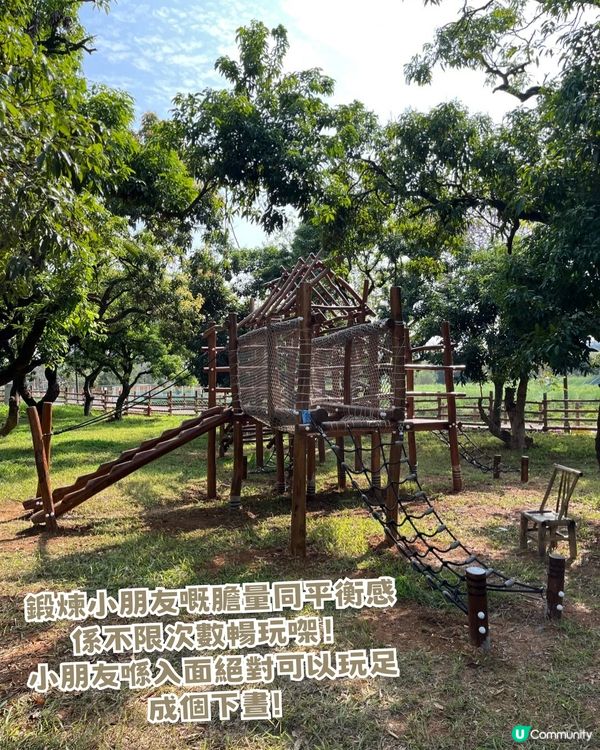 人均 ¥30入場！深圳一站式親子戶外天堂！深圳版侏羅紀公園/小動物互動區！