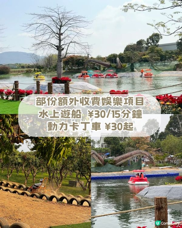 人均 ¥30入場！深圳一站式親子戶外天堂！深圳版侏羅紀公園/小動物互動區！