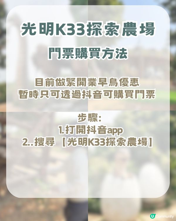 人均 ¥30入場！深圳一站式親子戶外天堂！深圳版侏羅紀公園/小動物互動區！