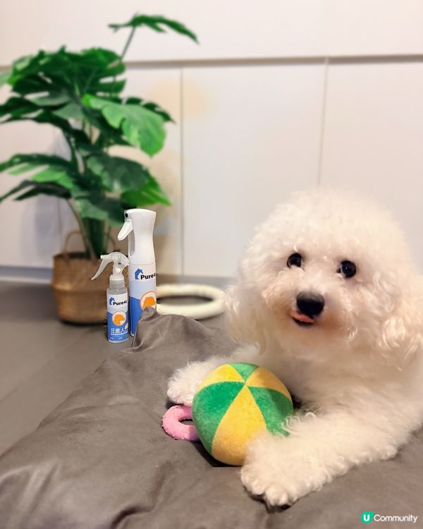 🐶💦🐾 狗寶貝專用清潔神器！#寵物清潔