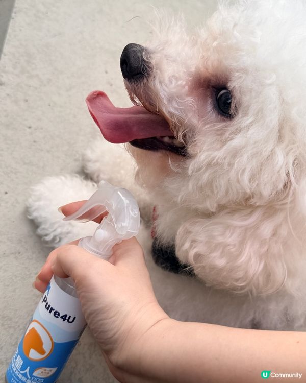 🐶💦🐾 狗寶貝專用清潔神器！#寵物清潔