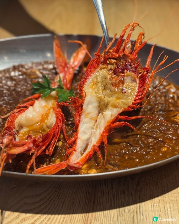 周末去邊好？可以任食Tapas!