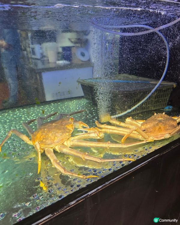 二人刺身套餐
